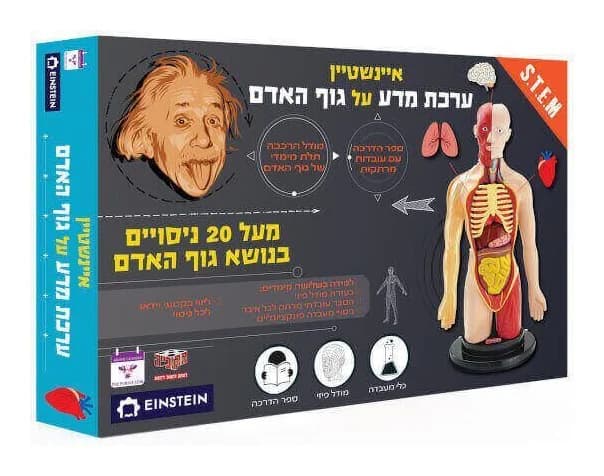 איינשטיין ערכת מדע על גוף האדם