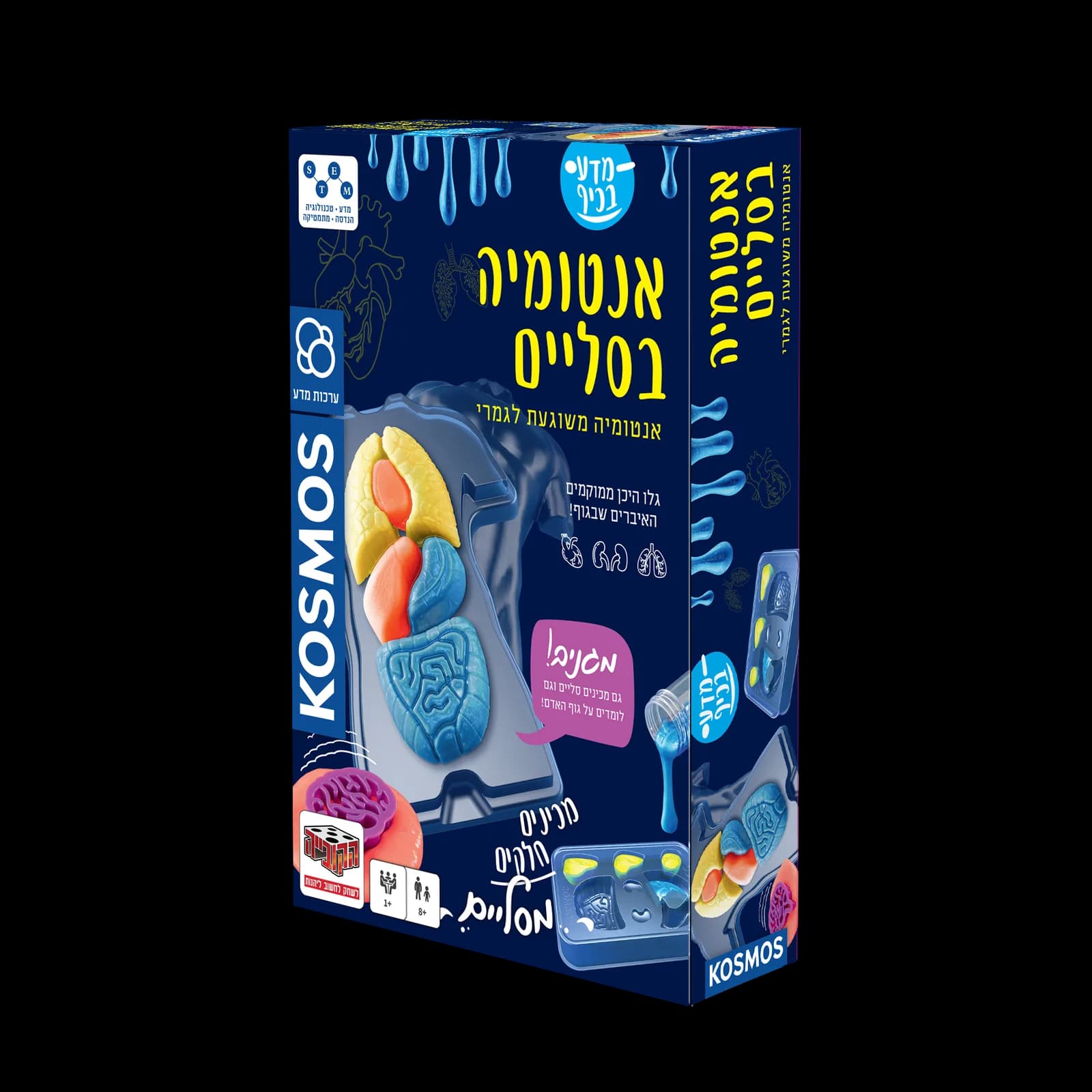ערכות מדע: אנטומיה בסליים